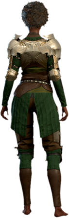 Half Plate Armour +2 Human Back