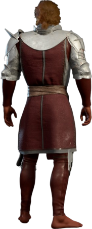 Emblazoned Plate of the Marshal High Elf Back