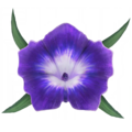 Thumbnail for version as of 20:36, 8 April 2025