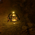 Thumbnail for version as of 14:42, 6 February 2025
