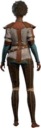 Robust Chain Shirt Human Back