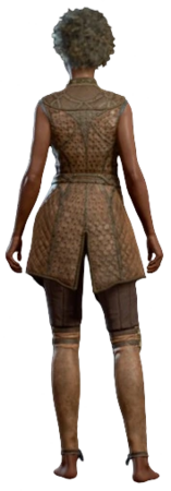Leather Armour Minsc Human Back