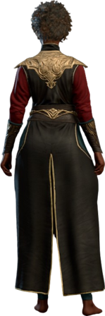 Robe of Exquisite Focus Human Back