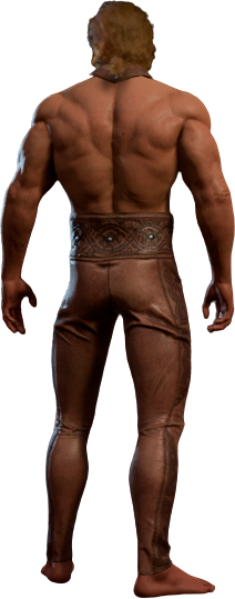 Leathery Garb High Elf Back