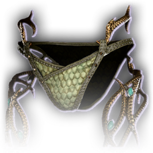 Underwear/Dragonborn image
