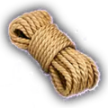 Thumbnail for version as of 10:12, 12 April 2024