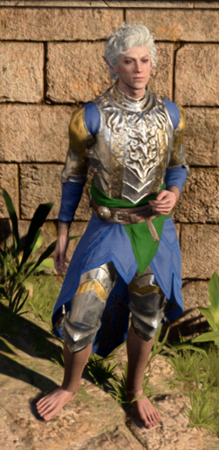 Protective Plate worn by Astarion