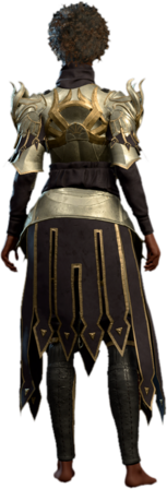 Dark Justiciar Mail Human Back