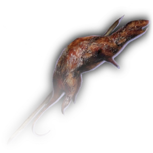 Fried Rat Skewer image
