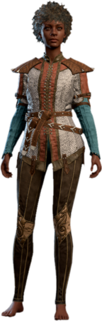 Robust Chain Shirt Human Front