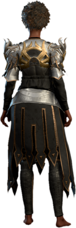 Nightsinger's Half-Plate Human Back