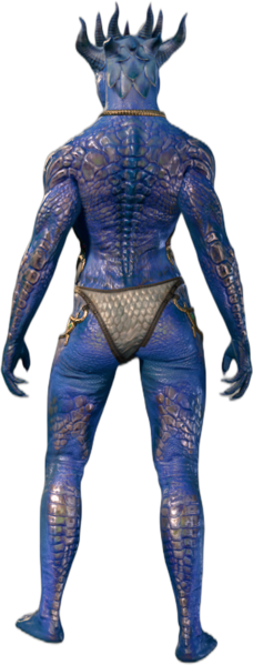 Bronze Underwear Dragonborn Back