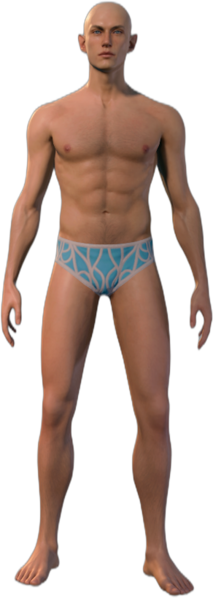 Underwear Half-Elf Front