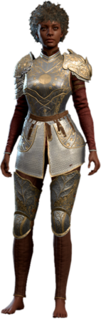 Half Plate Armour +1 Human Front