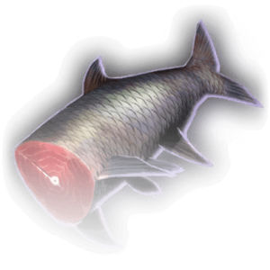 Headless Fish image