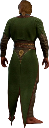 Leather Armour Jaheira Half-Elf Back