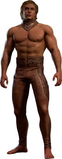 Leathery Garb High Elf Front