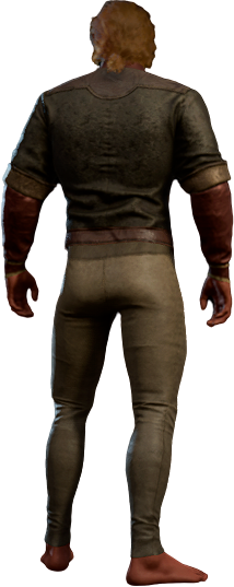 Solemnity Outfit in Gold Medallions High Elf Back