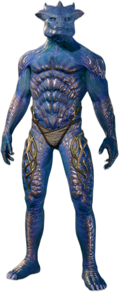 Bronze Underwear Dragonborn Front
