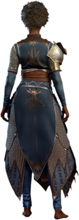 Chain Mail +2 Human Back