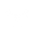 Thumbnail for version as of 09:03, 4 August 2023