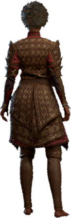Ring Mail Armour +2 Human Back