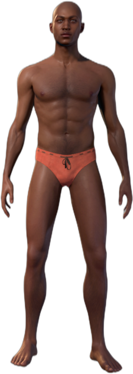 Underwear C Human Front