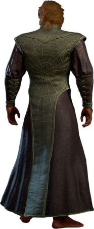 Poisoner's Robe Half-Elf Back