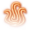 Incinerate (Incineration Caster)