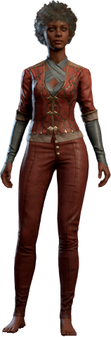 Raffish Bronze-Red Outfit Human Front
