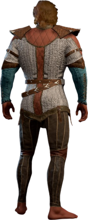 Robust Chain Shirt High Elf Back
