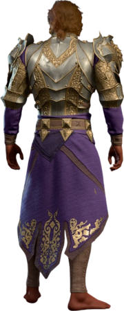 Plate Armour +1 High Elf Back
