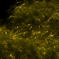 Thumbnail for version as of 15:39, 18 November 2024