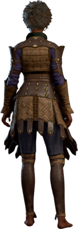 Studded Leather Armour +2 Human Back