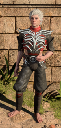 The Graceful Cloth worn by Astarion
