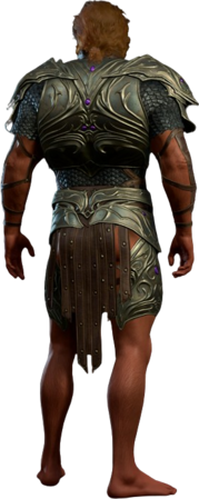 Psionic Ward Armour High Elf Back