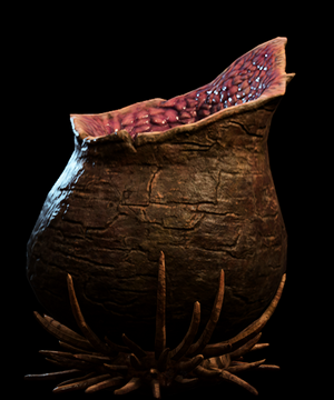 Barrelstalk.png