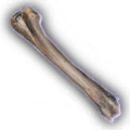 Thumbnail for version as of 03:15, 20 December 2023