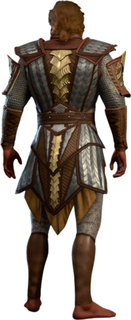 Scale Mail +2 High Elf Back