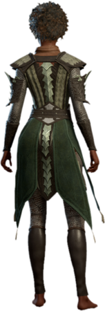 Yuan-Ti Scale Mail Human Back