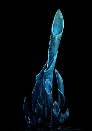 Nightlight.png
