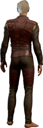 Leather Armour Flaming Fist Half-Elf Back