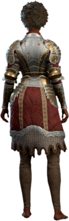 Armour of Persistence Human Back