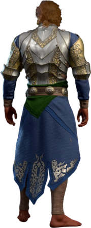 Plate Armour High Elf Back
