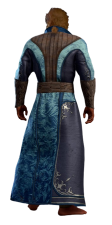 Icebite Robe Half-Elf Back
