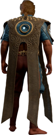Vest of Soul Rejuvenation Half-Elf Back