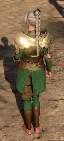 Half-Plate Armour +2 worn by Shadowheart