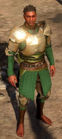 Half-Plate Armour +2 worn by Wyll