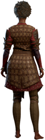 Ring Mail Armour +1 Human Back