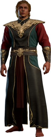 Robe of Exquisite Focus Half-Elf Front
